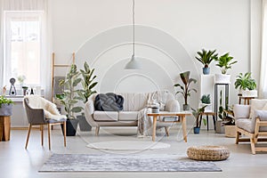 Urbano la giungla moderno soggiorno bianco divano nero nodo cuscino un di legno mobilia copiare spazio sul vuoto parete 