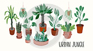 Urban Jungle. Vector illustration with trendy houseplants.
