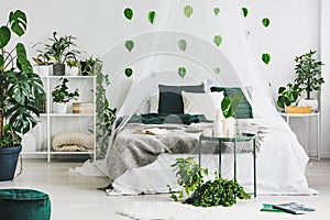 Urban jungle in white bedroom interior with green leafs on empty wall