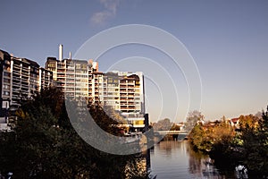 Urban jungles and concrete deserts