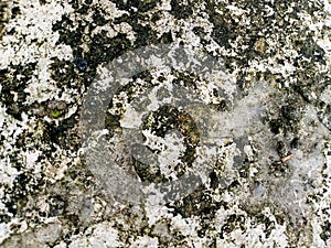 Urban keyboard typing Abstract