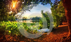 Urban lagoon and landscape. Humboldt Park, Chicago, USA. Sunset Panorama.