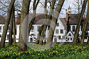 Urban landscape of the city of Bruges in Belgium