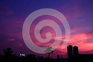 Urban Landscape City Palm Trees Sky Scrapers Dusk