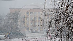 Urban landscape with snow falling in a city with leafless birch