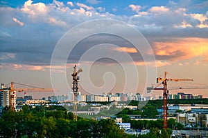 Urban landscape with tower cranes