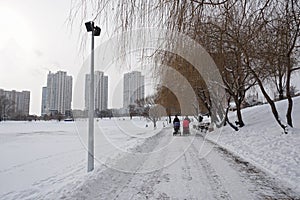 Urban life in winter. Two mothers walk with strollers