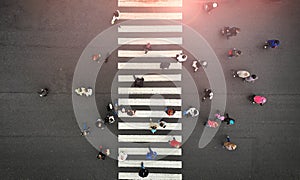 Urban lifestyle. People crowd on pedestrian crosswalk. Zebra crossing, top view