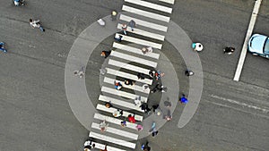 Urban lifestyle. People crowd on pedestrian crosswalk. Zebra crossing, top view.