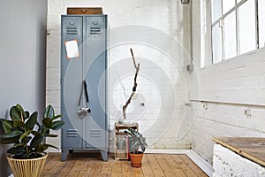 Urban loft vintage atmosphere with metal locker and plants