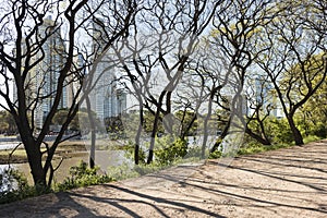 Urban nature, Puerto Madero buildings from the Costanera Sur ecological reserve photo