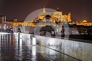 Urban night landscape, view of the city of Cordoba, Spain
