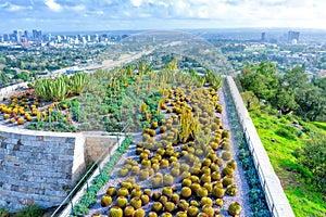 Urban Oasis: Los Angeles Panorama from Getty Center\'s Cactus Garden