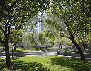 Urban Park photo