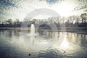 Urban park bare tree, altocumulus cloud, fountain lake in Texas, USA photo