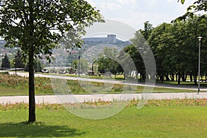 Urban park green nature with patterns of a military enginery photo