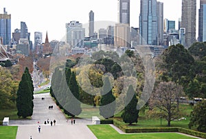 Urban park with trees, grass, plaza and iconic cityscape of modern skyscrapers in Melbourne downtown, Victoria, Australia