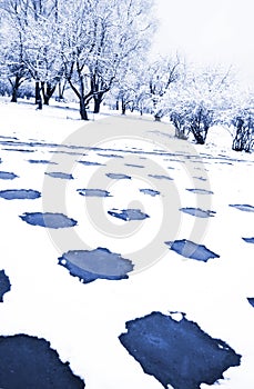 Urban park in winter