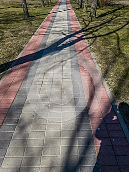 Urban pavers are symmetrically. Sunny spring day