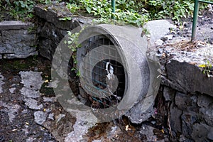 urban river: water oozes out of a round pipe, blocked by an old grate photo