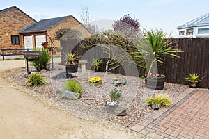 Urban rockery garden with grasses and shrubs. photo