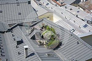 Urban rooftop garden . Green oasis on the top of the roof .