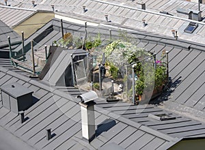 Urban rooftop garden . Green oasis on the top of the roof .