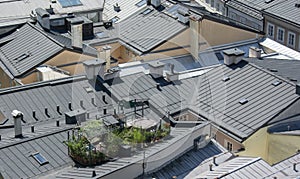 Urban rooftop garden . Green oasis on the top of the roof .