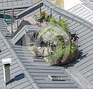 Urban rooftop garden . Green oasis on the top of the roof .