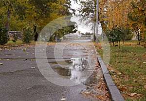 Urban sketch autumn alley with fallen leaves