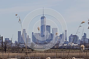 Urban skyline with distant skyscrapers and sparse brown vegetation in the foreground.