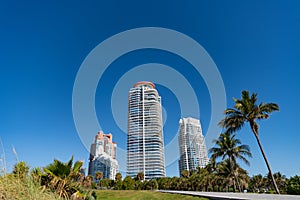 Urban skyline with skyscrapers and palms in tropical park on blue sky in South Beach, USA