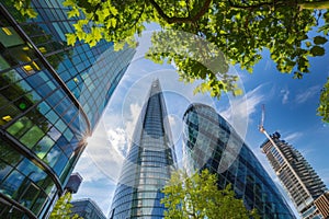 Urban Skyline of Tall Buildings