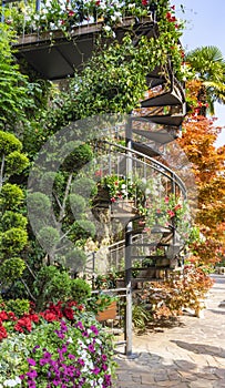 An urban spiral staircase entwined with a climbing vine, framed by petunias and trimmed thuja. Landscaping of a spiral street