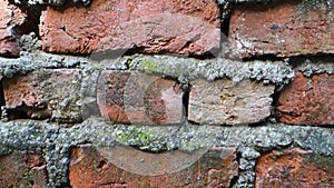 Urban Texture: Exposed Red Brick Walls with Cement Bonding in Dehradun City, Uttarakhand, India