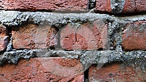 Urban Texture: Exposed Red Brick Walls with Cement Bonding in Dehradun City, Uttarakhand, India