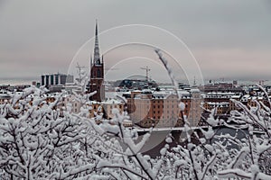 Urban view behind the trees of Riddarholmen and the old church at winter, Stockholm Sweden