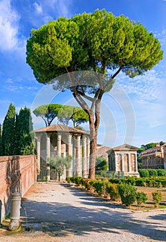 Urban view of Rome: the circular Temple of Ercules Victor near thes mall rectangular  Temple of Portunus in The Forum Boarium, Ita photo