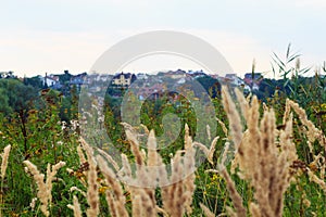 Urban village on the background fields