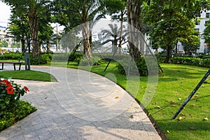 Urban walking road among green tree in modern apartment buildings in big city