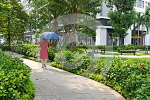 Urban walking road among green tree in modern apartment buildings in big city