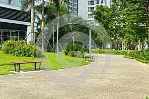 Urban walking road among green tree in modern apartment buildings in big city