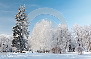 Urban winter landscape. Yaroslavl, Russia