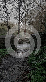 Urban woodland Gate Public footpath Public Right of way