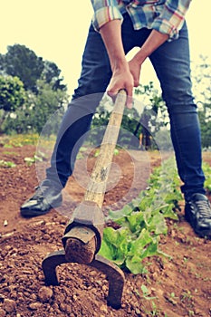 Urbanite man digging in a garden photo
