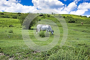 The Urbasa and Andia natural park in Navarra