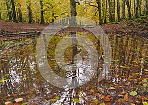 Urbasa mountain range. Autumn in the Natural Park of the Sierra de Urbasa and Andia, Navarra photo