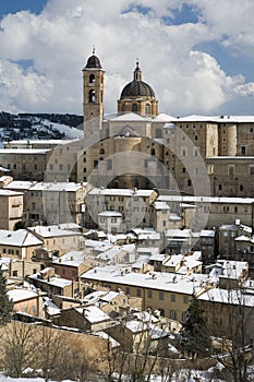 Urbino