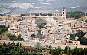 Urbino