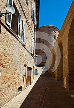 Urbino